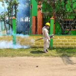 En 19 años no se han registrado casos de transmisión autóctona de paludismo en Veracruz: SS|SESVER