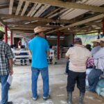 Capacitan a productores de La Breña en la elaboración de trampas ecológicas contra el gusano barrenador