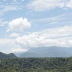 En un año, Sedema atendió más de 7 mil kilómetros del Área Natural Protegida Metlac-Río Blanco