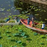 Inicia SEDEMA jornadas de limpieza en la Laguna de San Julián