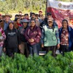 Reforesta Sedema 3.5 hectáreas en el ejido Las Vigas con 3 mil 500 árboles
